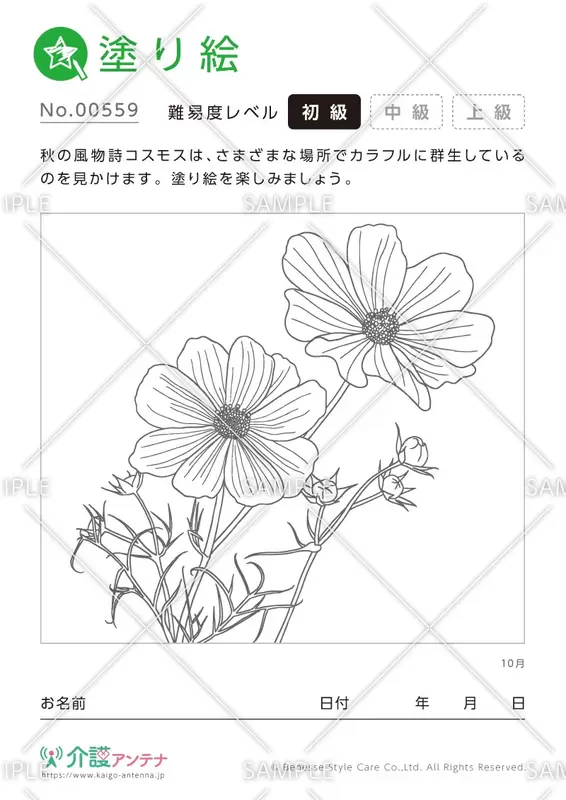 簡単な塗り絵 無料で印刷ok 手軽に遊べる 塗り絵素材集 介護アンテナ