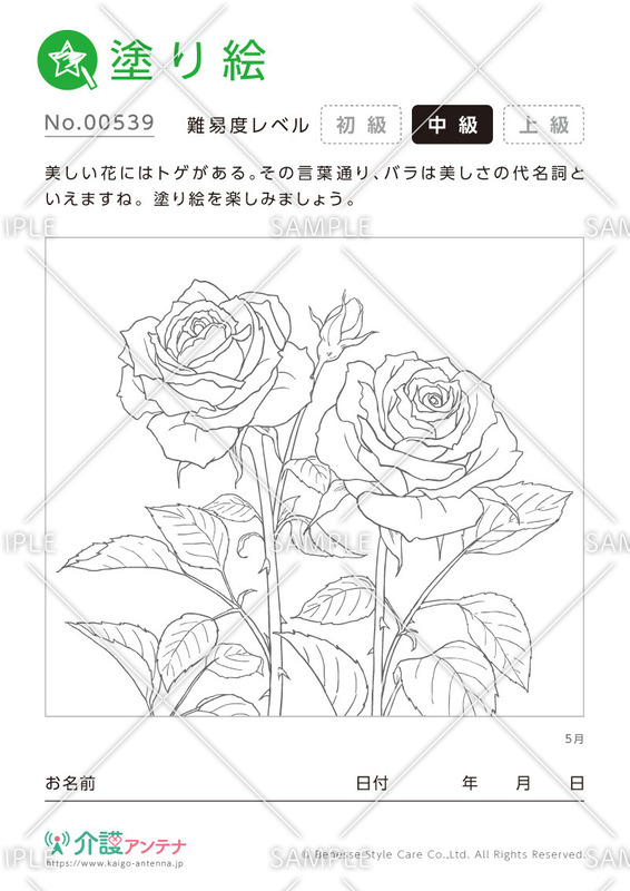 塗り絵「5月の花 バラ」 - No.00539
