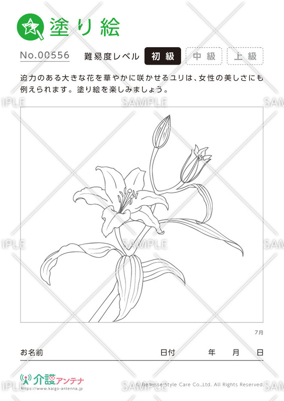 塗り絵「7月の花 ユリ」- No.00556