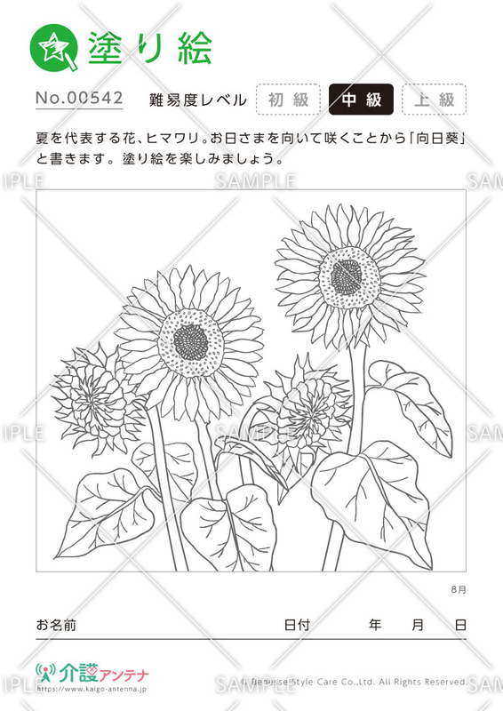 塗り絵「8月の花 ヒマワリ」- No.00542