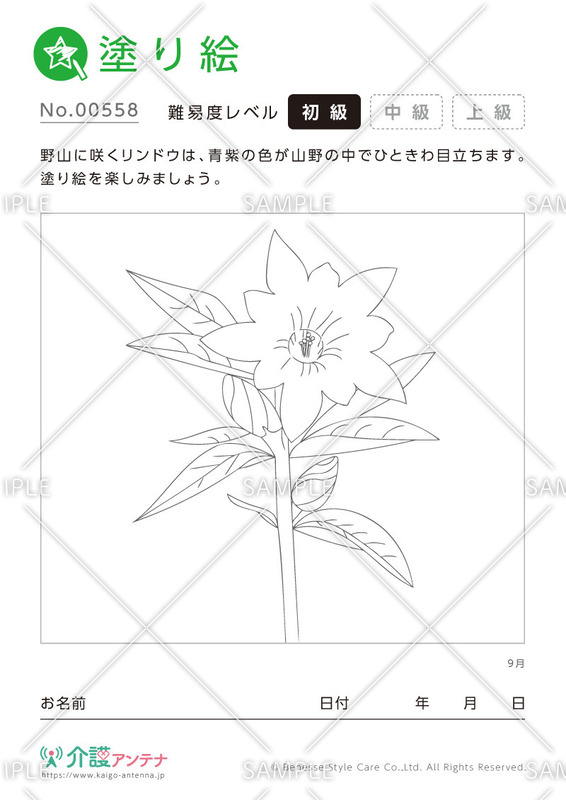 塗り絵「9月の花 リンドウ」- No.00558