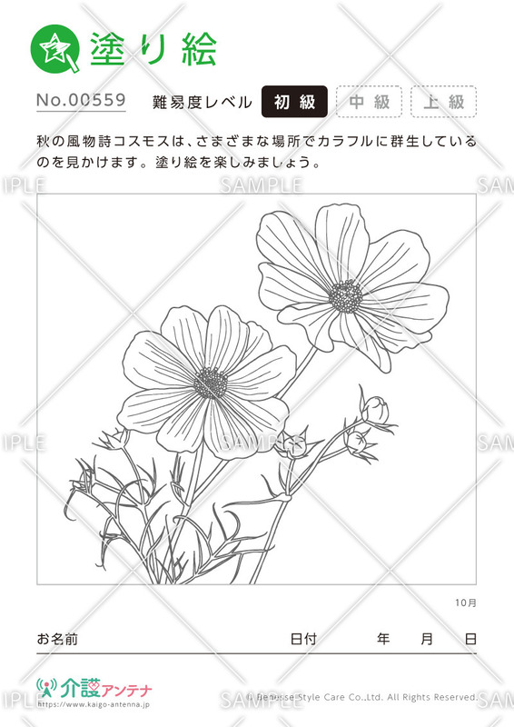 塗り絵「10月の花 コスモス」- No.00559