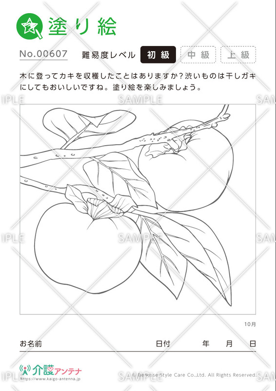 塗り絵「10月の植物 柿」- No.00607