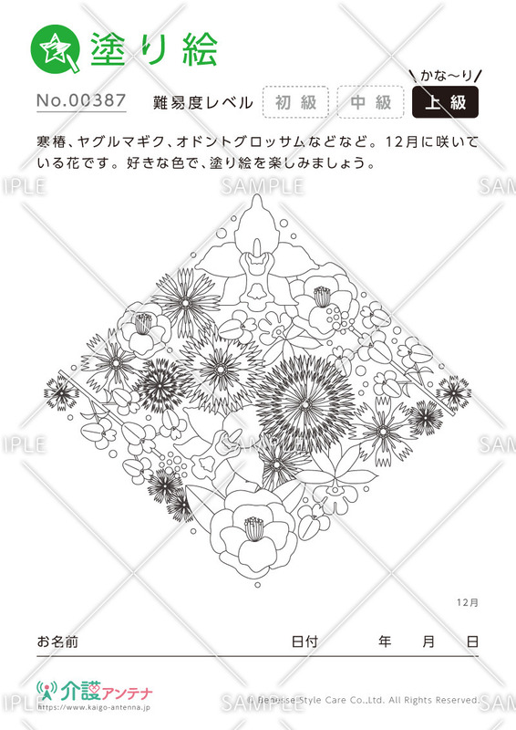 大人の塗り絵「12月の花」- No.00387