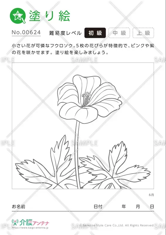 塗り絵「6月の花 フクロソウ」- No.00624