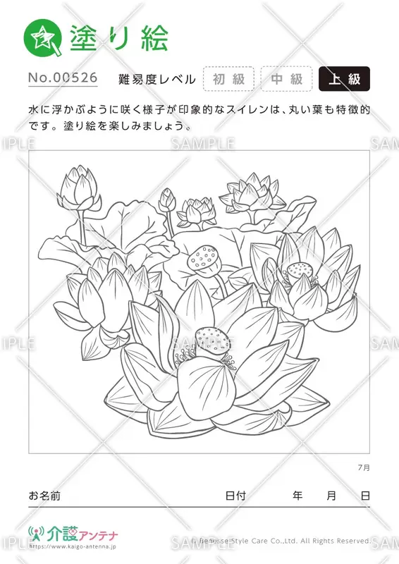 塗り絵「7月の花 スイレン」- No.00526