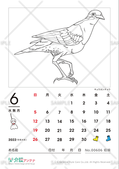 2022年6月の塗り絵カレンダー「キュウカンチョウ」 - No.00606