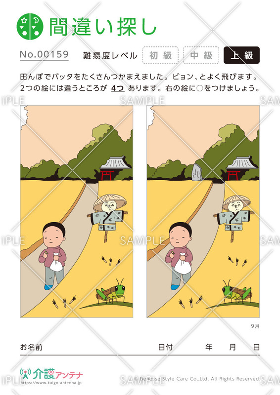 間違い探し「バッタ捕り」- No.00159