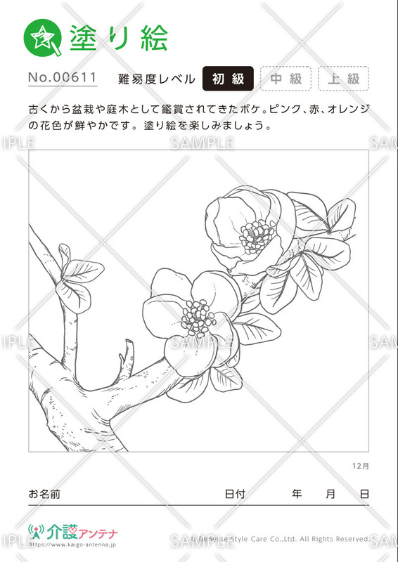 塗り絵「12月の花 ボケ」- No.00611