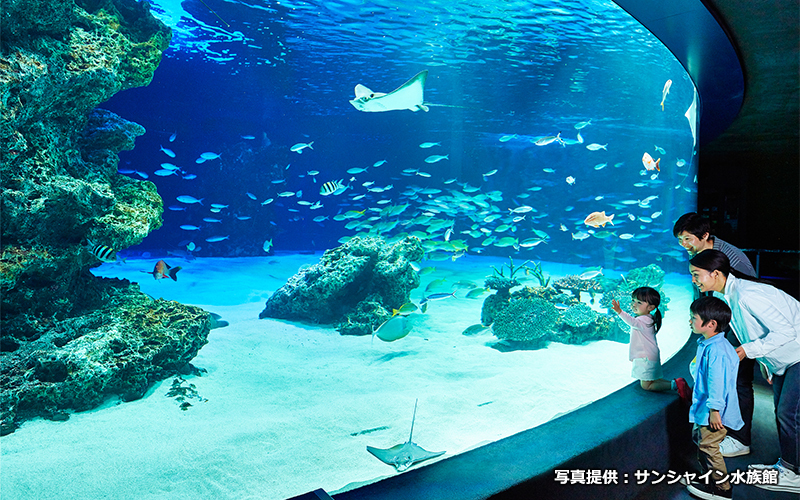 サンシャイン水族館