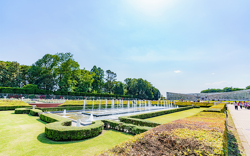噴水広場と周囲にあるばら園は見どころのひとつで、ヨーロッパの庭園のような雰囲気を味わえる。