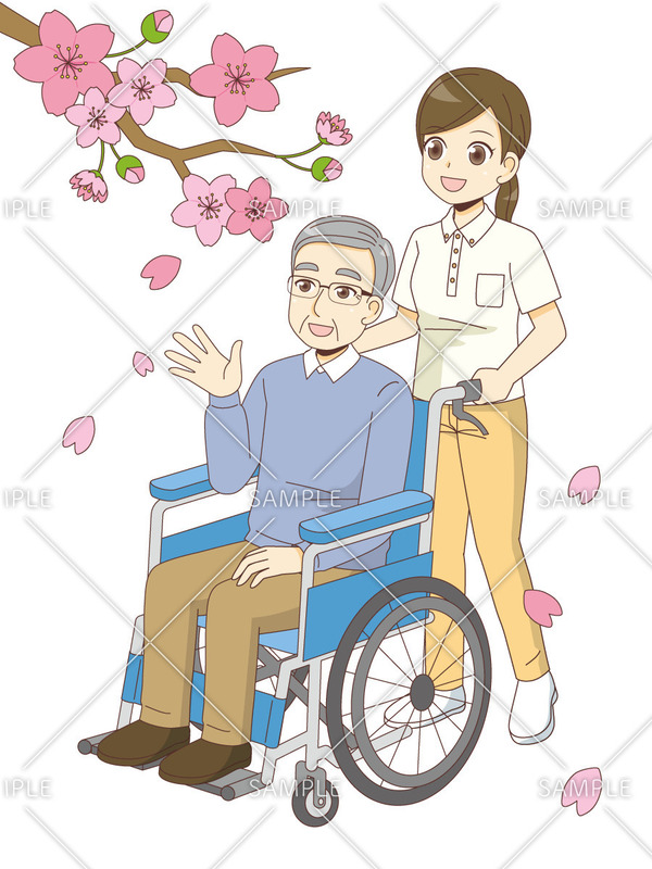 桜並木をお散歩する男性高齢者のイラスト