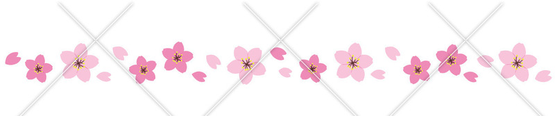 桜の飾り罫線のイラスト