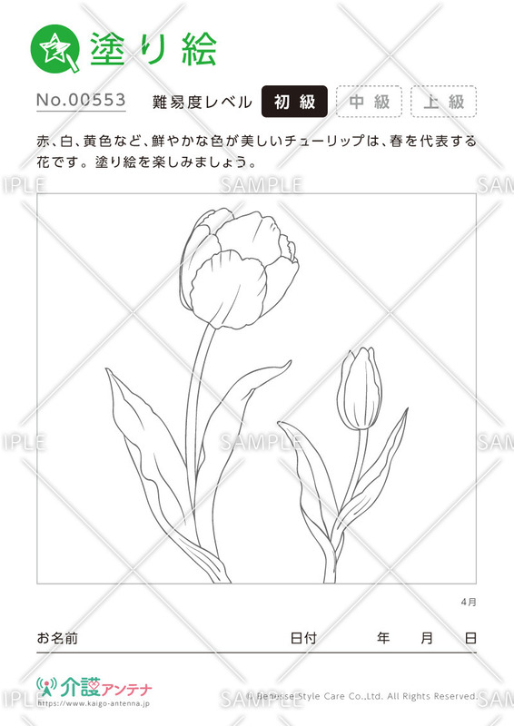 塗り絵「4月の花 チューリップ」 - No.00553