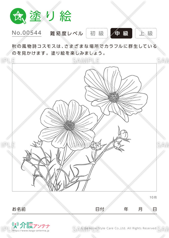 塗り絵「10月の花 コスモス」 - No.00544