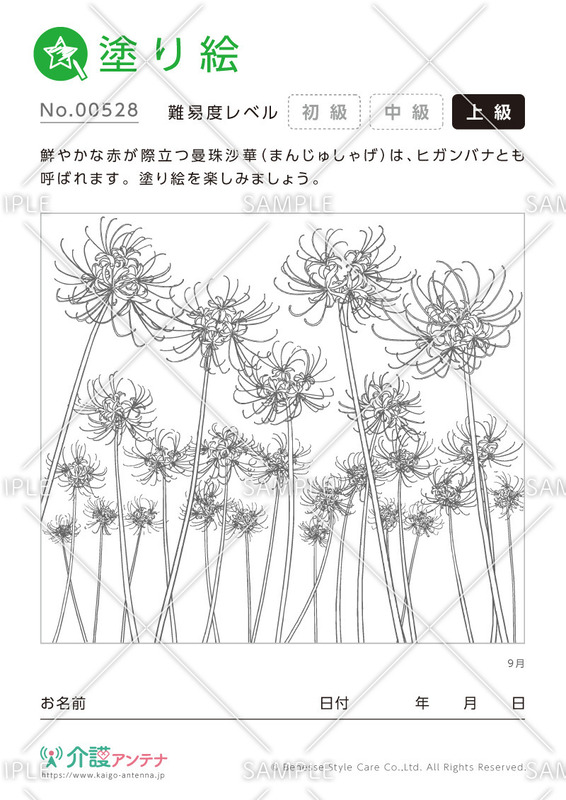 塗り絵「9月の花 曼殊沙華（ヒガンバナ）」 - No.00528