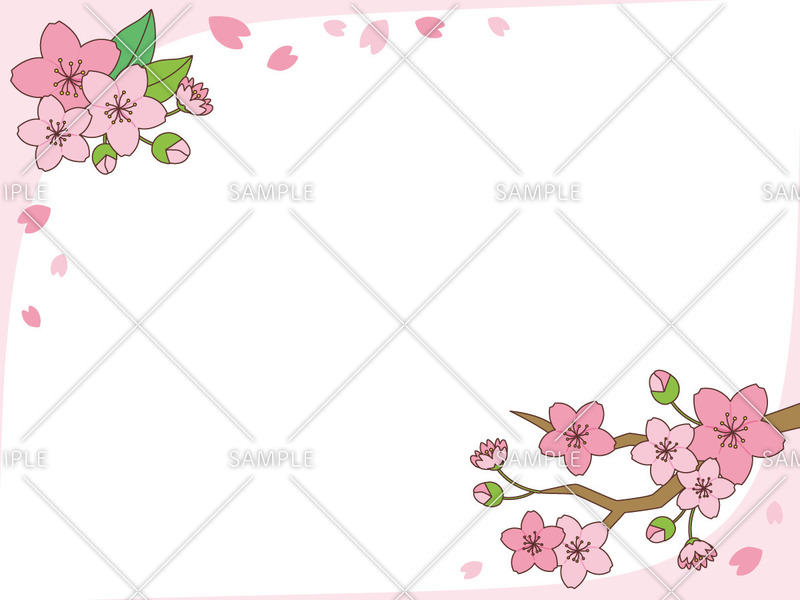 桜のフレームのイラスト