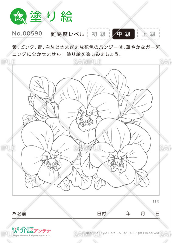 塗り絵「11月の花 パンジー」- No.00590