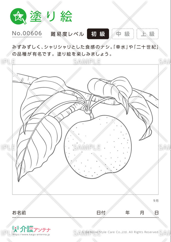 塗り絵「9月の植物 梨」- No.00606