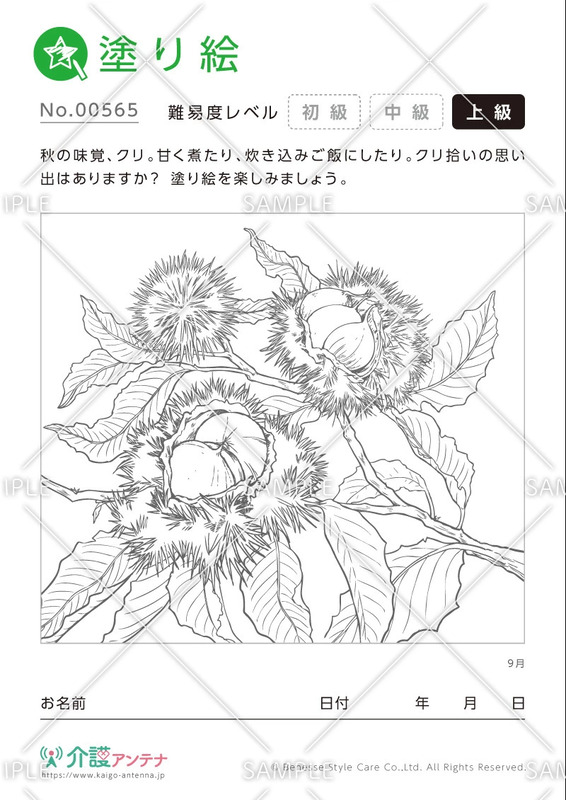 塗り絵「9月の植物 栗」- No.00565