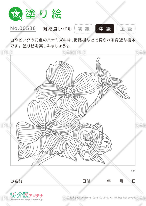 塗り絵「4月の花 ハナミズキ」 - No.00538