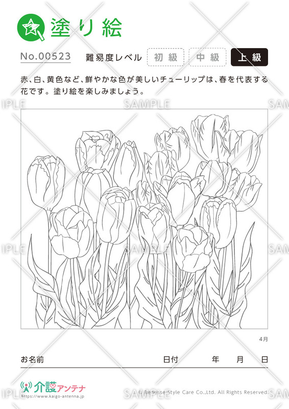 塗り絵「4月の花 チューリップ」 - No.00523