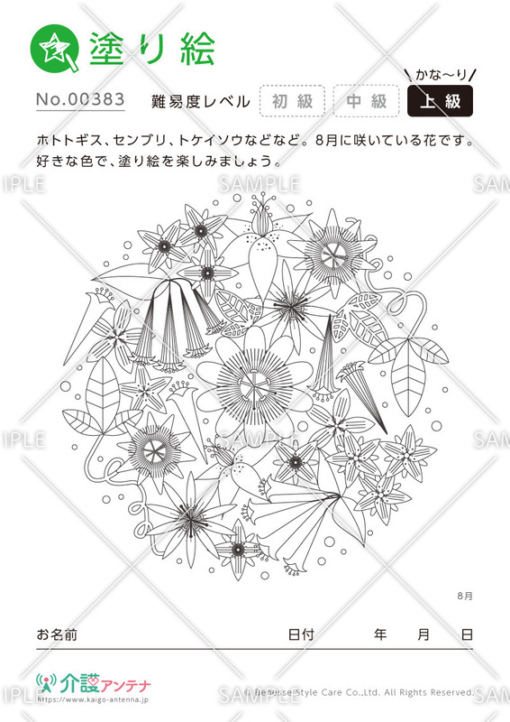 大人の塗り絵「8月の花」 - No.00383