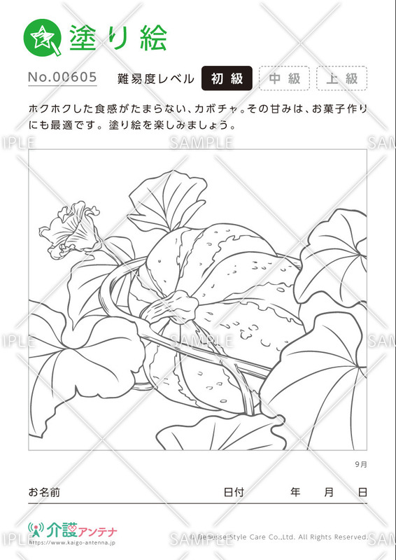 塗り絵「9月の植物 カボチャ」- No.00605