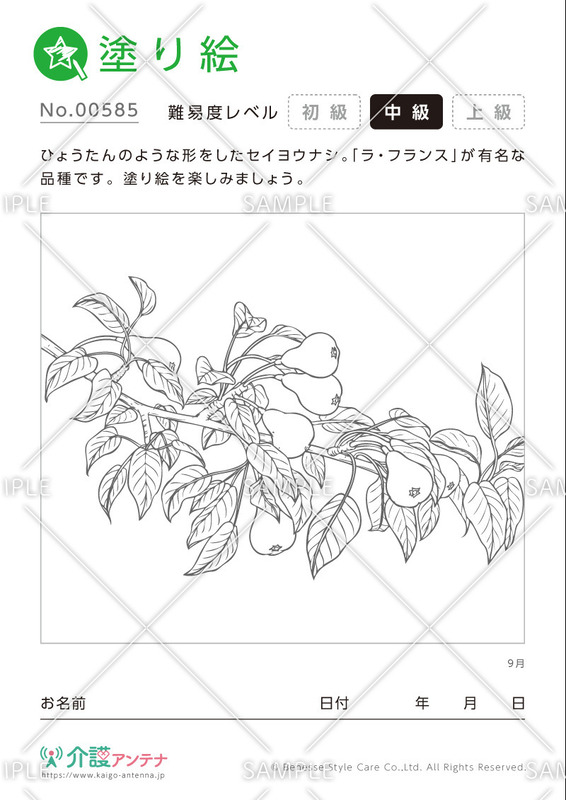 塗り絵「9月の植物 西洋梨」- No.00585