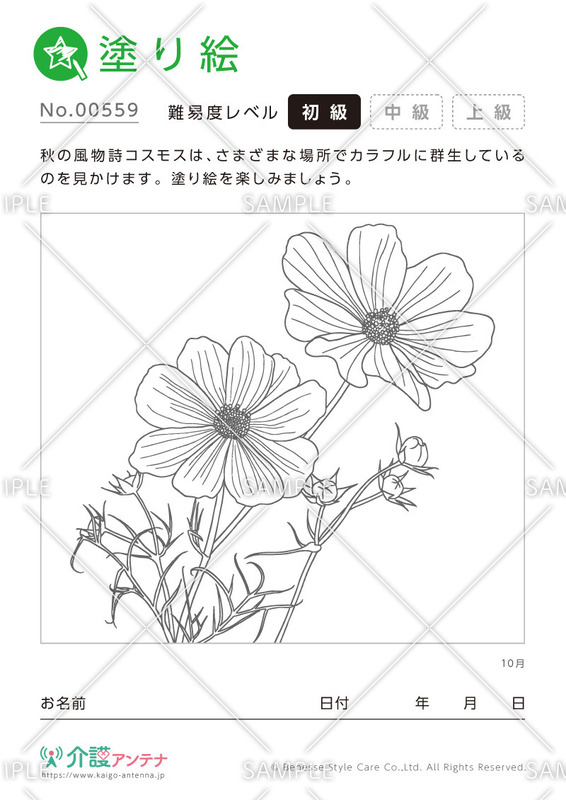 塗り絵「10月の花 コスモス」 - No.00559