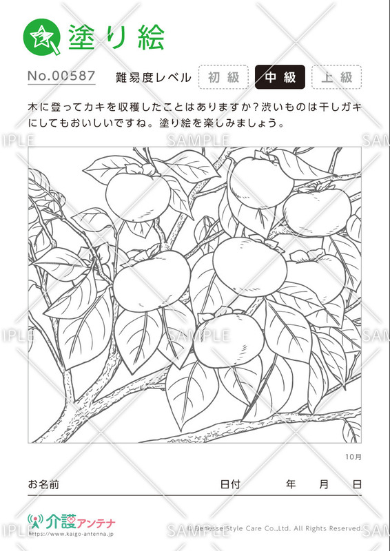 塗り絵「10月の植物 柿」- No.00587
