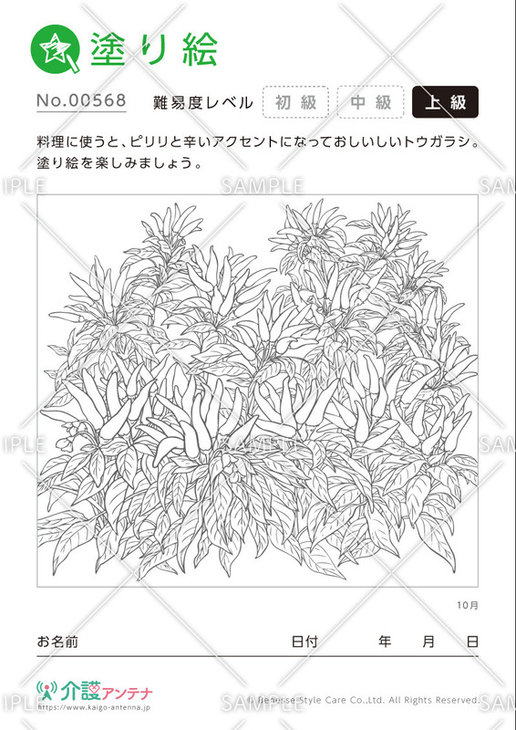 塗り絵「10月の植物 トウガラシ」- No.00568