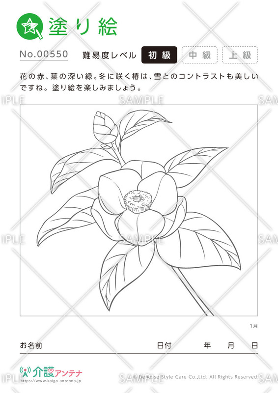 塗り絵「1月の花 椿」 - No.00550