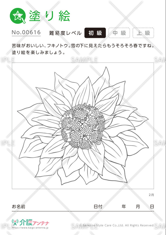 塗り絵「2月の植物 フキノトウ」- No.00616