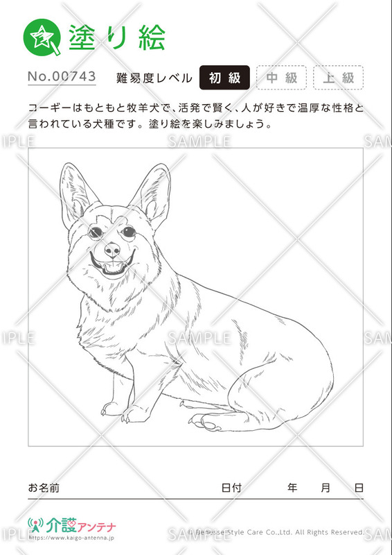 無料で使える かわいい動物の塗り絵 高齢者向け介護レク 介護アンテナ