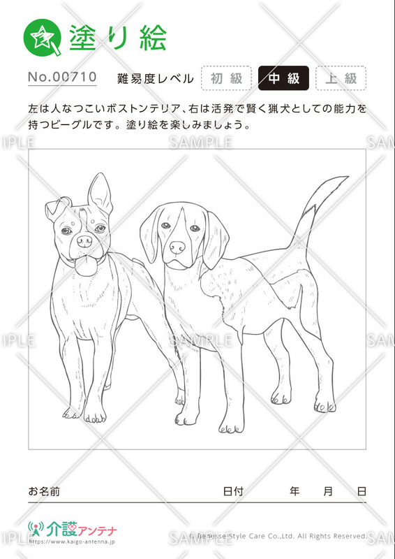 無料で使える かわいい動物の塗り絵 高齢者向け介護レク 介護アンテナ