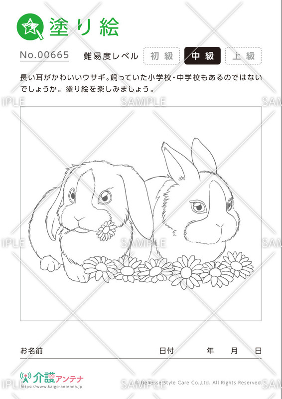 塗り絵「ウサギ」 - No.00665