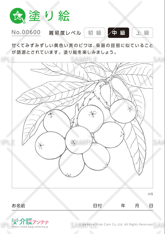 塗り絵「4月の植物 ビワ」- No.00600