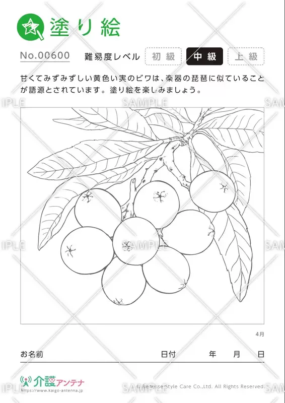 塗り絵「4月の植物 ビワ」- No.00600