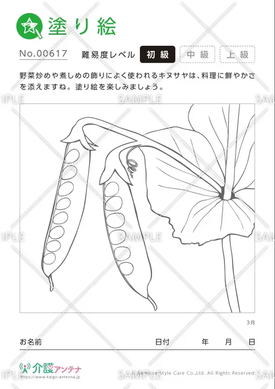 塗り絵「3月の植物 キヌサヤ」- No.00617