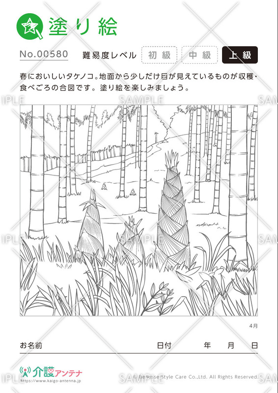 塗り絵「4月の植物 タケノコ」- No.00580