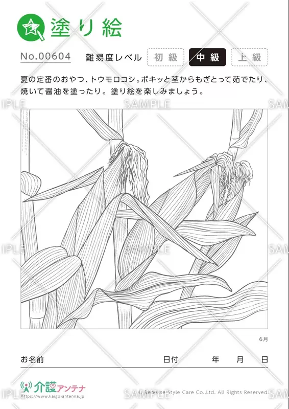 塗り絵「6月の植物 トウモロコシ」- No.00604