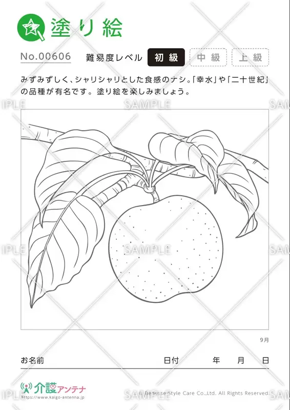 塗り絵「9月の植物 梨」- No.00606