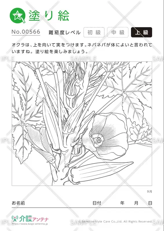 塗り絵「9月の植物 オクラ」- No.00566