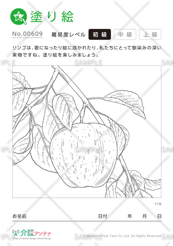 塗り絵「11月の植物 リンゴ」- No.00609