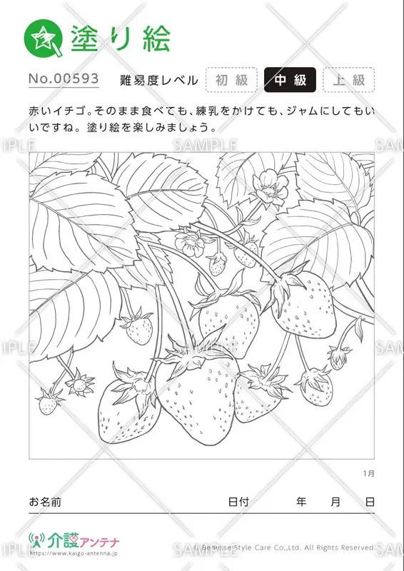 塗り絵「1月の植物 イチゴ」- No.00593