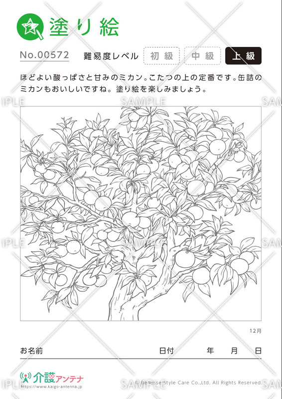 塗り絵「12月の植物 ミカン」- No.00572