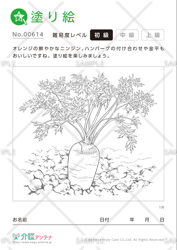 塗り絵「1月の植物 ニンジン」- No.00614