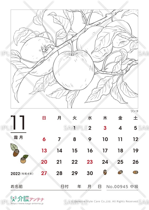 2022年11月の塗り絵カレンダー「リンゴ（植物）」