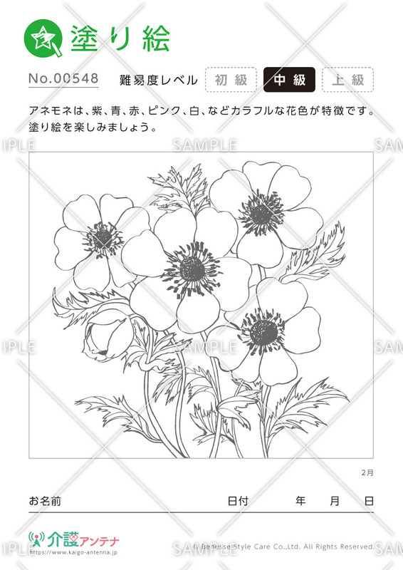 塗り絵「2月の花 アネモネ」 - No.00548